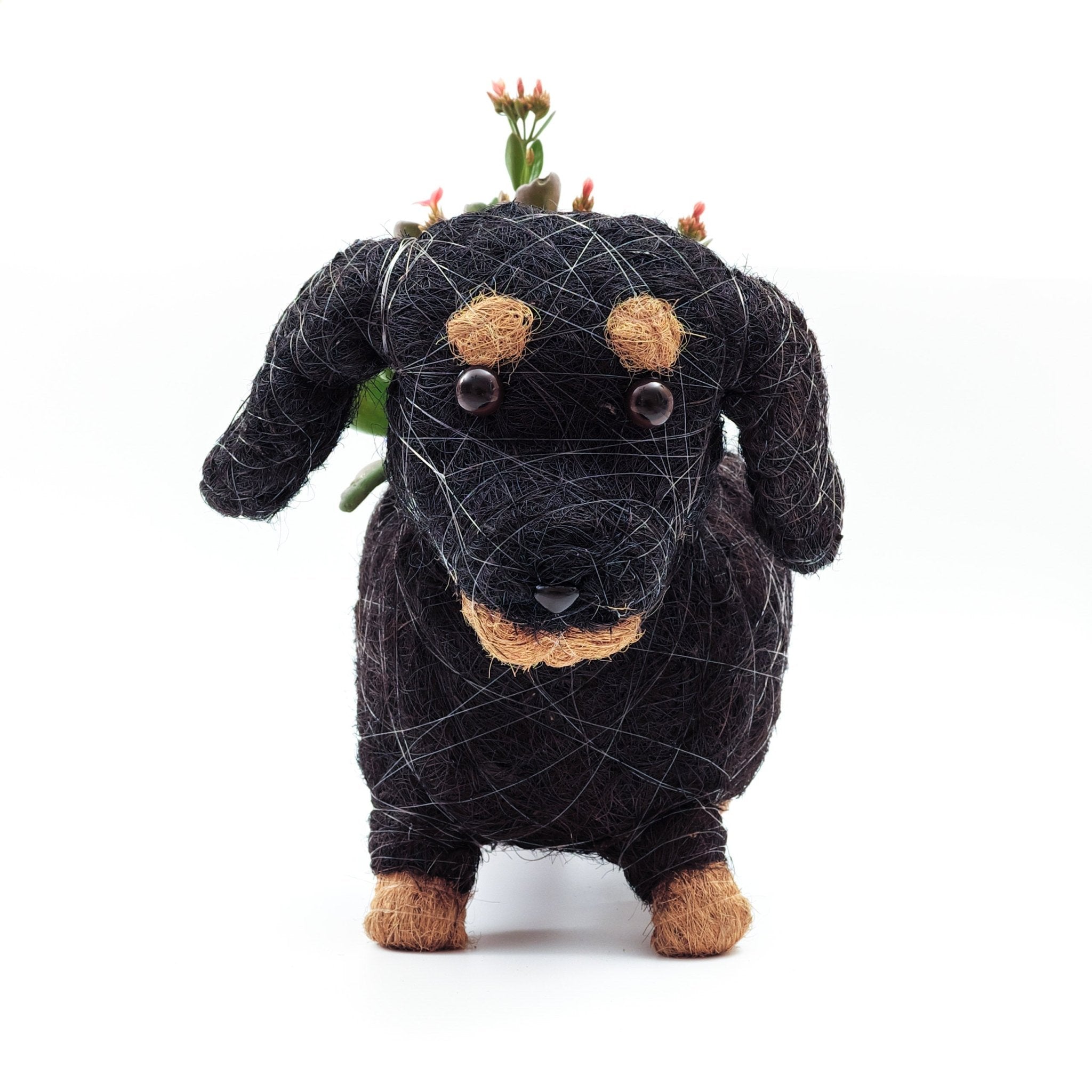 Planters - Baby Dachshund - Coco Coir Pots | LIKHÂ - LIKHÂ