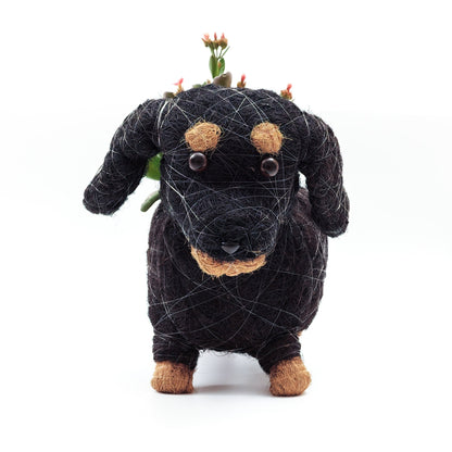 Planters - Baby Dachshund - Coco Coir Pots | LIKHÂ - LIKHÂ