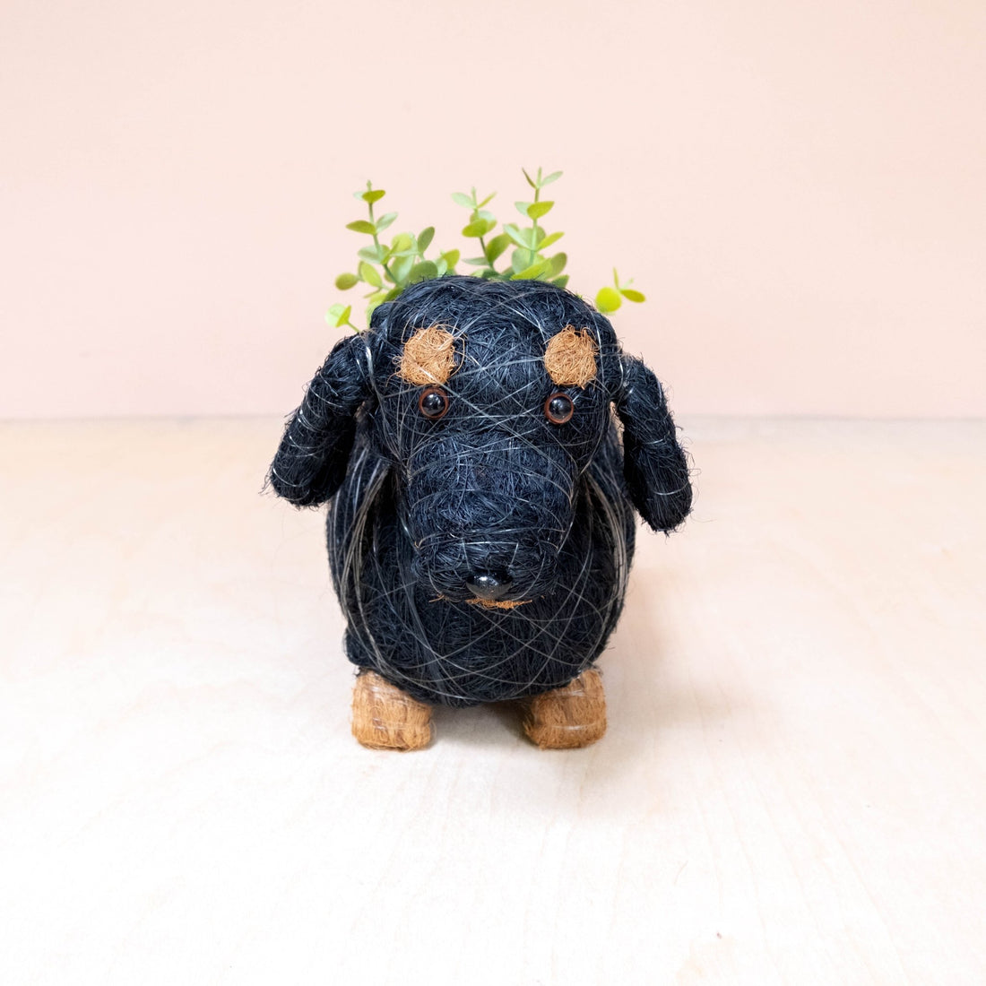 Planters - Baby Dachshund - Coco Coir Pots | LIKHÂ - LIKHÂ