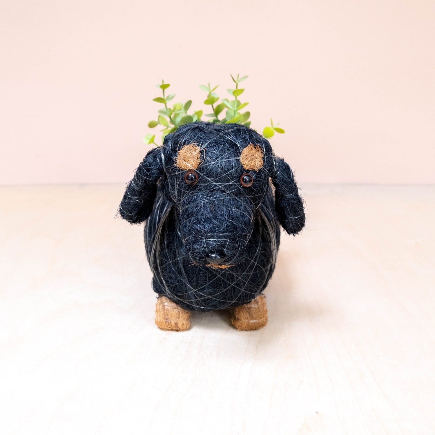 Planters - Baby Dachshund - Coco Coir Pots | LIKHÂ - LIKHÂ