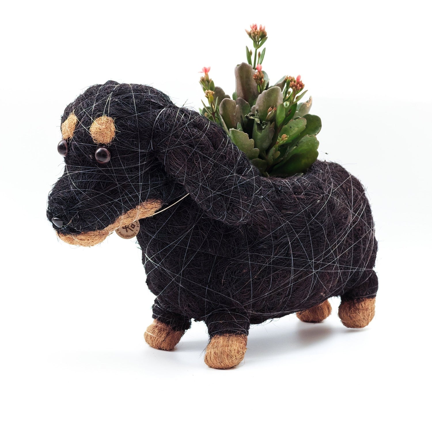 Planters - Baby Dachshund - Coco Coir Pots | LIKHÂ - LIKHÂ