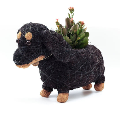 Planters - Baby Dachshund - Coco Coir Pots | LIKHÂ - LIKHÂ