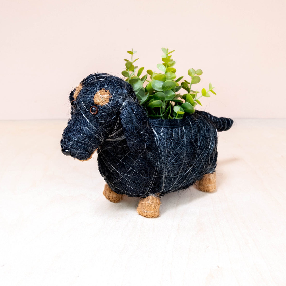Planters - Baby Dachshund - Coco Coir Pots | LIKHÂ - LIKHÂ