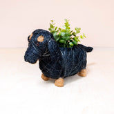 Planters - Baby Dachshund - Coco Coir Pots | LIKHÂ - LIKHÂ