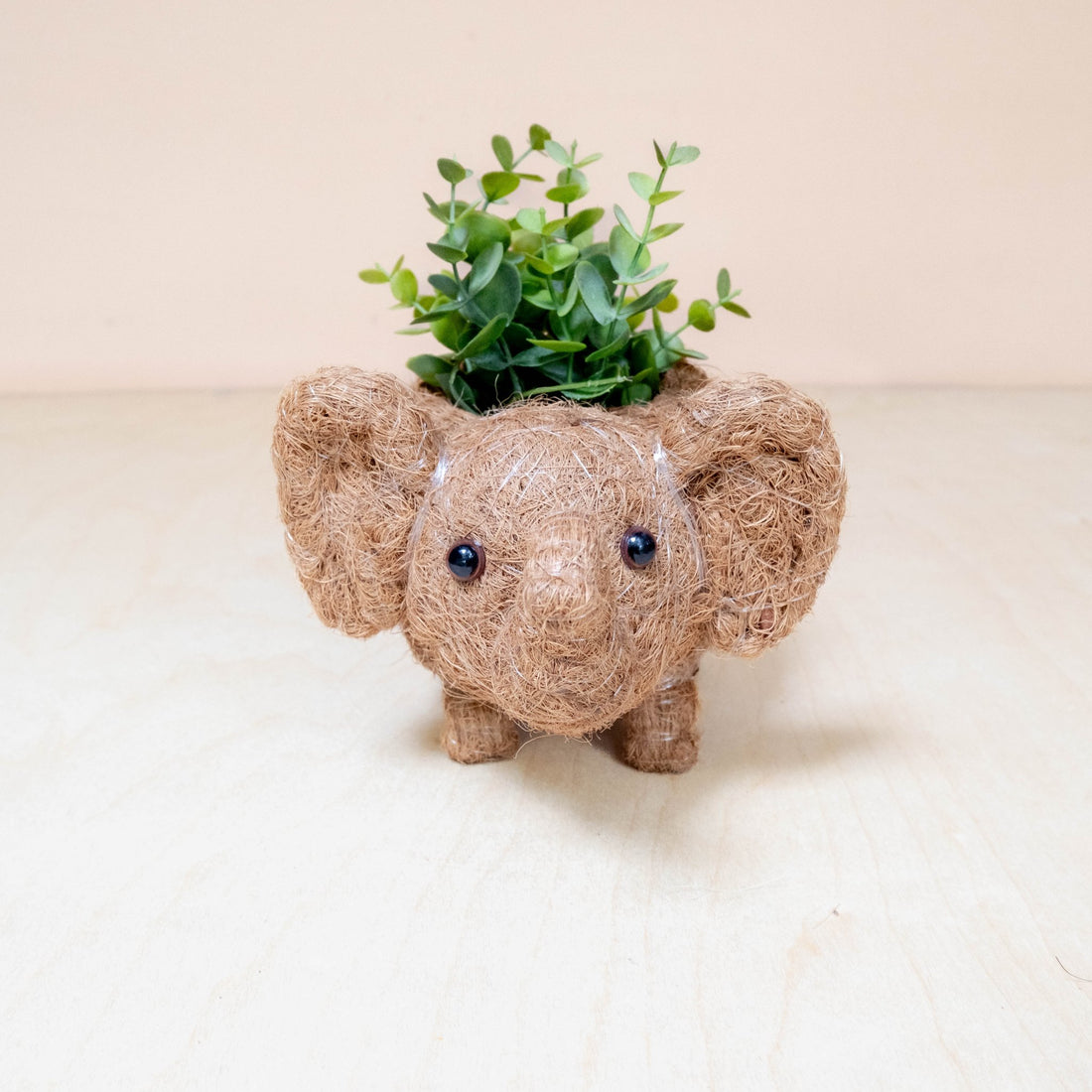 Planters - Baby Elephant Planter - Coco Coir Planter | LIKHÂ - LIKHÂ