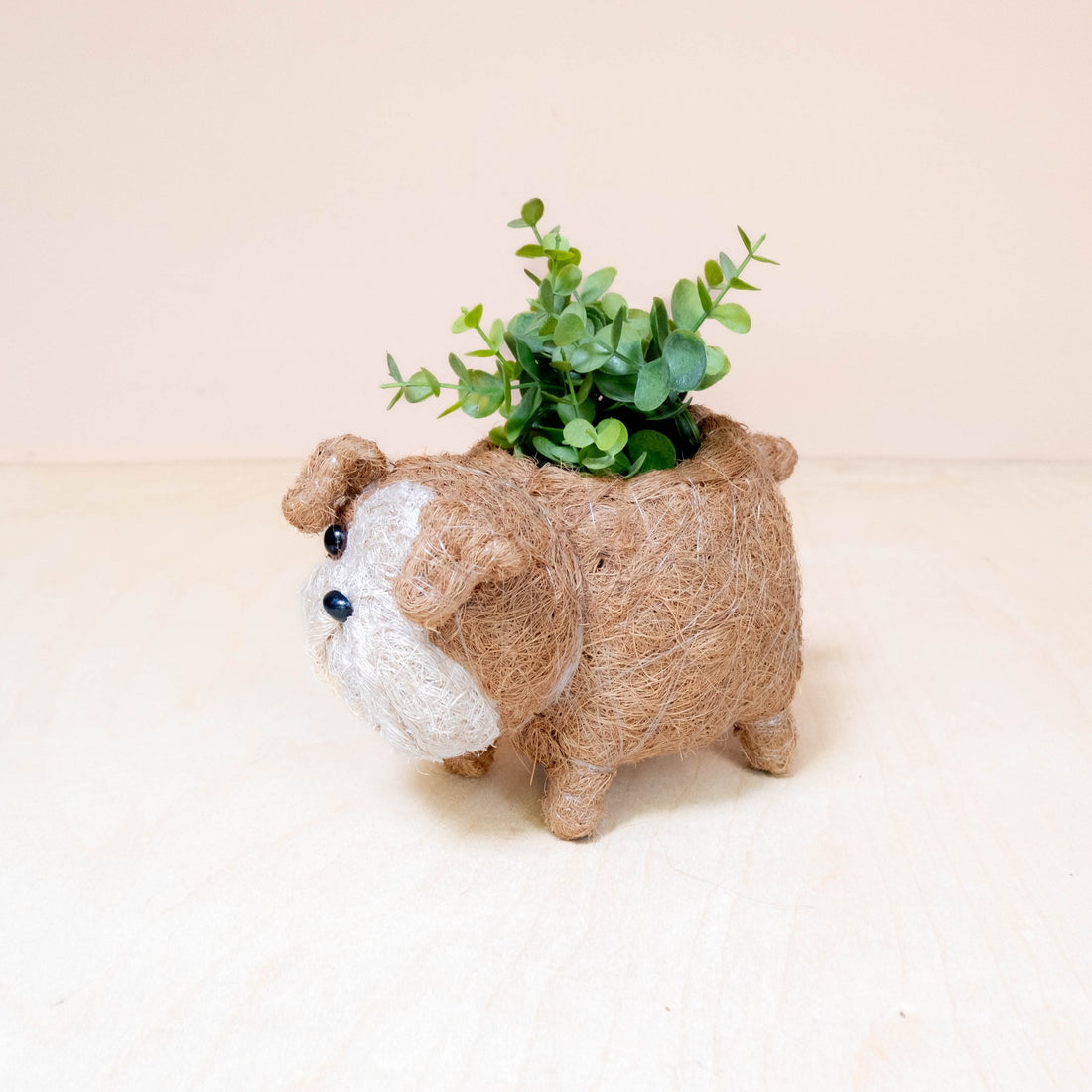 Planters - Baby English Bulldog Planter - Handcrafted Planter | LIKHÂ - LIKHÂ