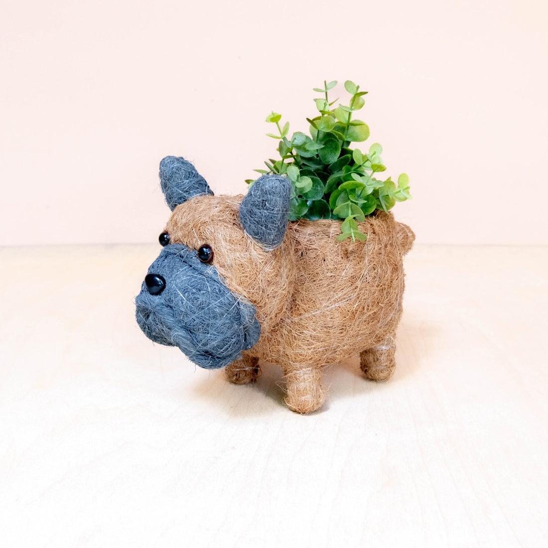 Planters - Baby French Bulldog Planter - Coco Coir Pots | LIKHÂ - LIKHÂ