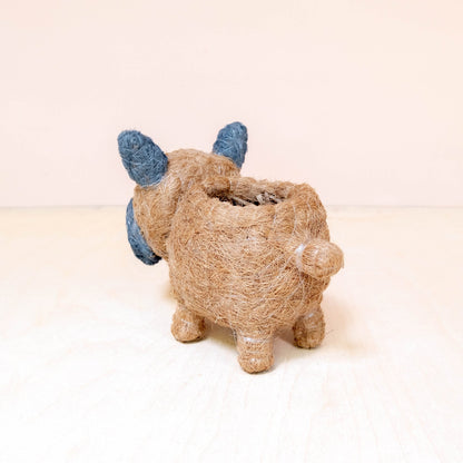 Planters - Baby French Bulldog Planter - Coco Coir Pots | LIKHÂ - LIKHÂ