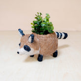 Planters - Baby Raccoon Planter - Handmade Planter | LIKHÂ - LIKHÂ