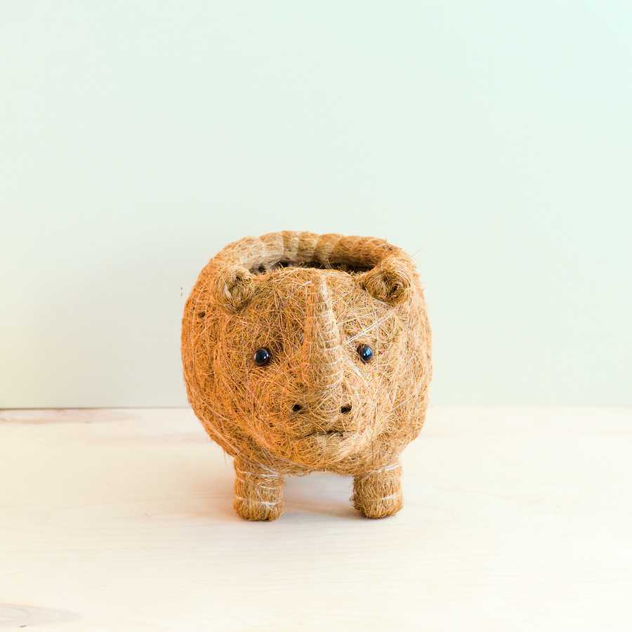 Planters - Baby Rhino Planter - Coco Coir Planter | LIKHÂ - LIKHÂ