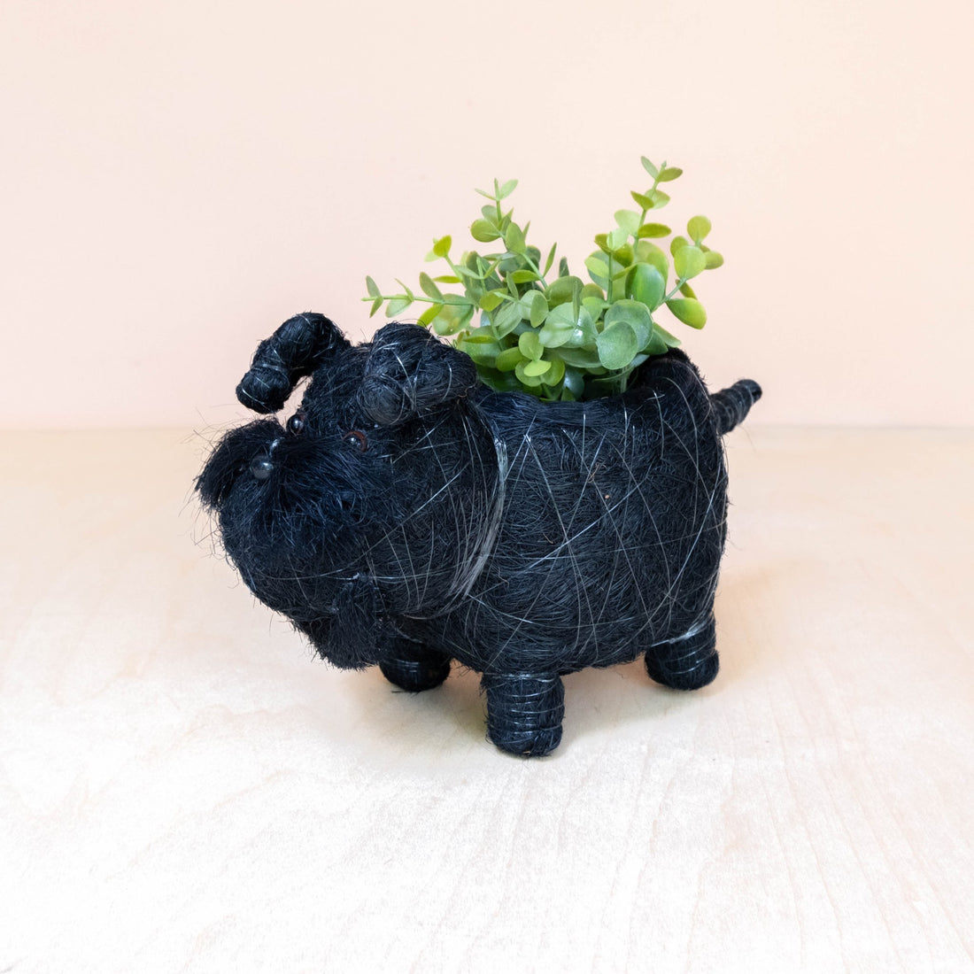 Planters - Baby Schnauzer Planter - Coco Coir Planter | LIKHÂ - LIKHÂ