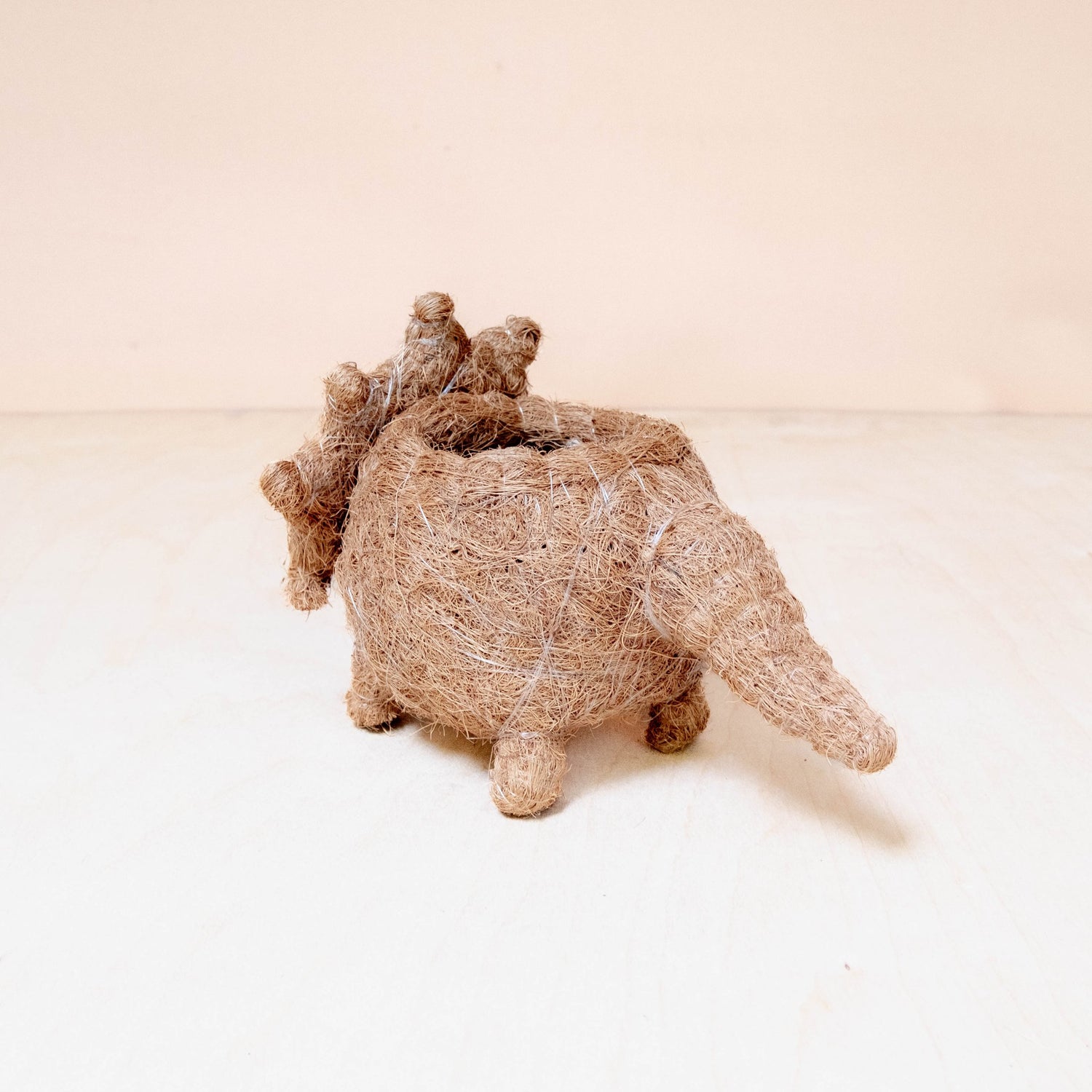 Planters - Baby Triceratops Planter - Handmade Plant Pots | LIKHÂ - LIKHÂ