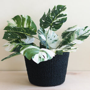 Baskets - Black Scallop Basket - Handwoven Basket | LIKHÂ - LIKHÂ