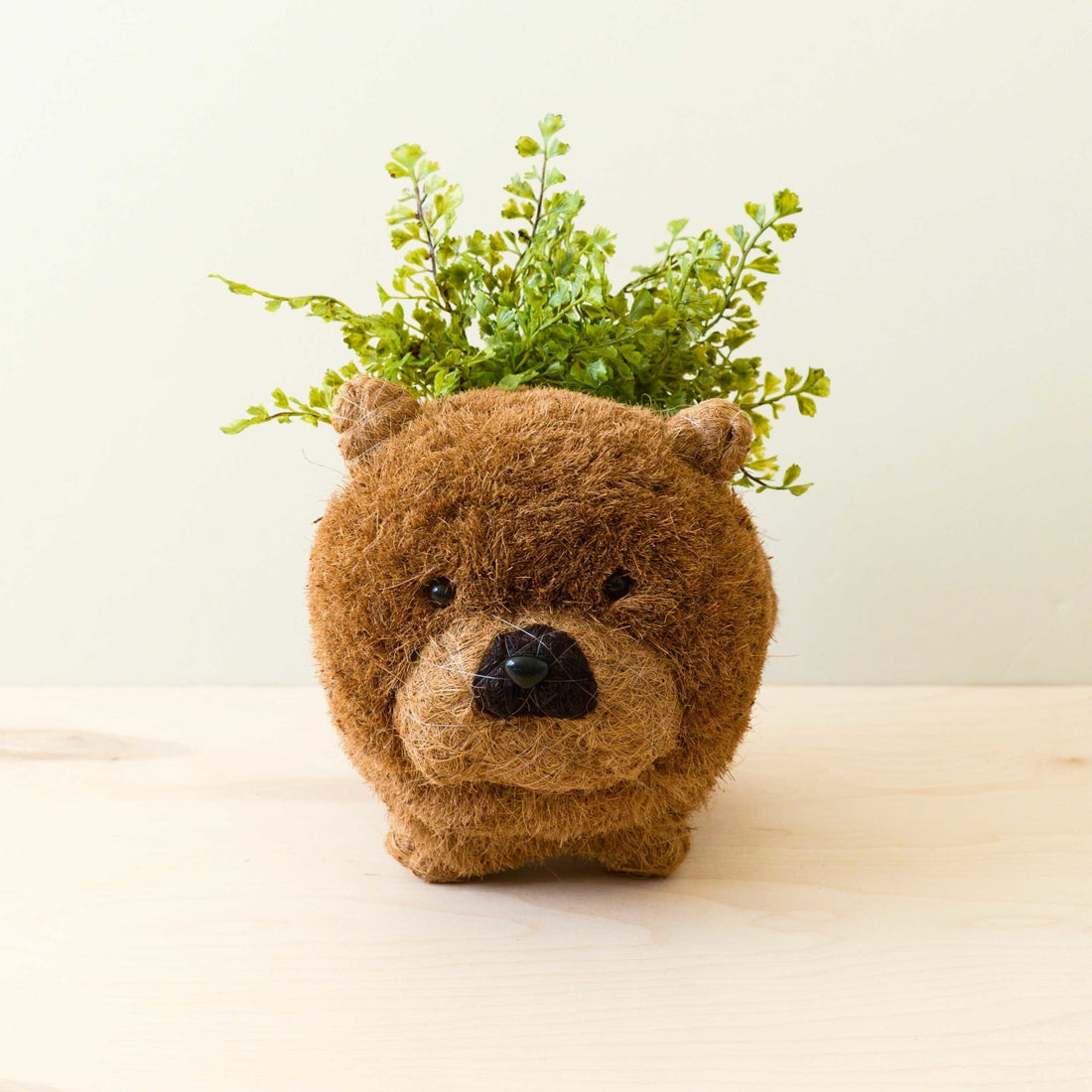 - Chow Chow Planter - Dog Plant Pot | LIKHA - LIKHÂ