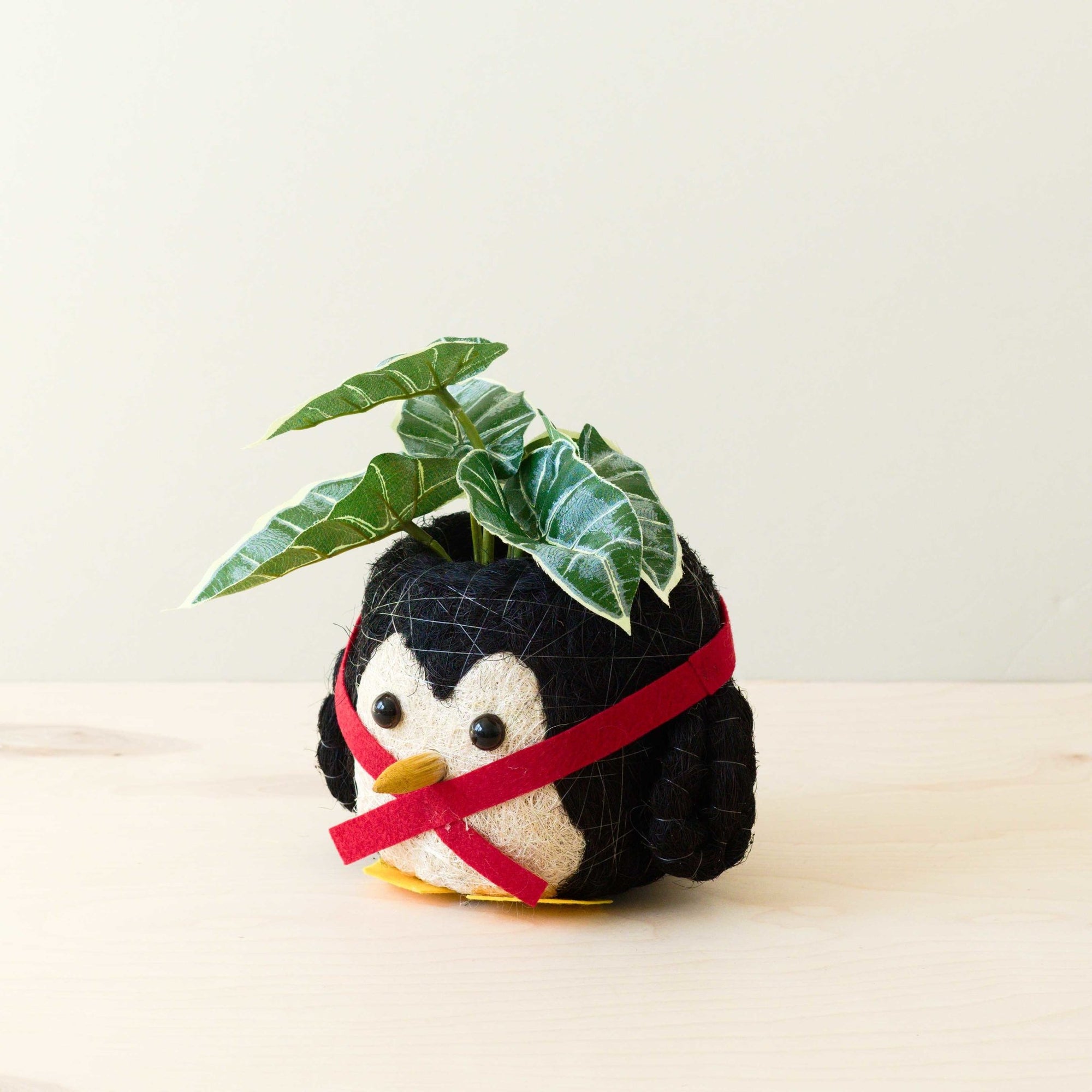 - Penguin Planter - Coco Coir Pot | LIKHA - LIKHÂ