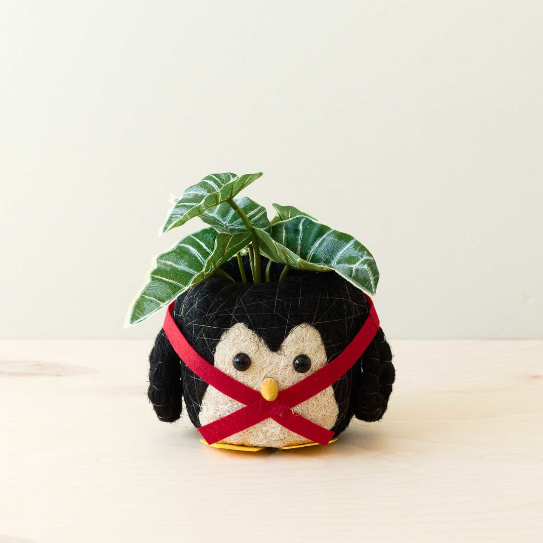 - Penguin Planter - Coco Coir Pot | LIKHA - LIKHÂ