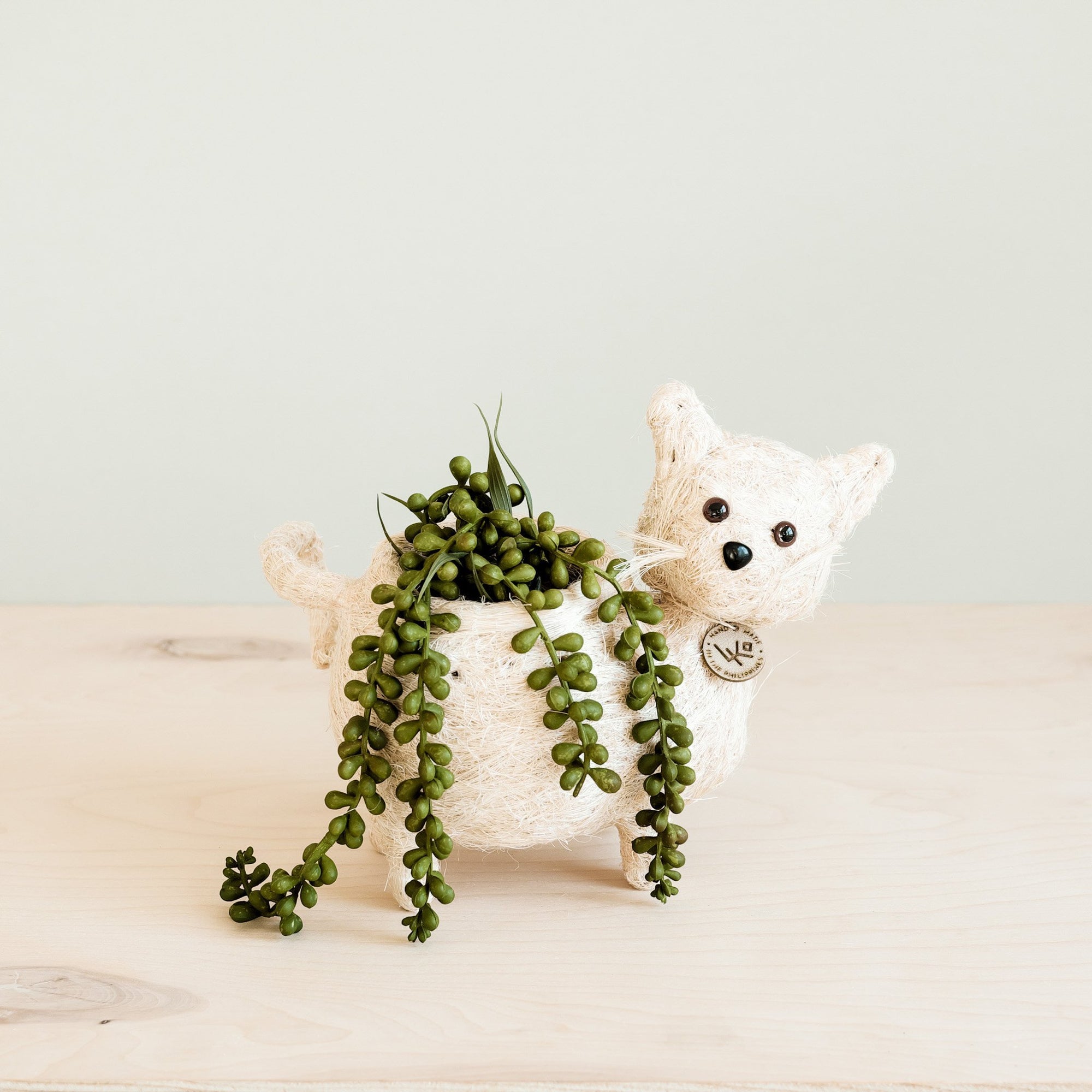 Planters - Baby Cat Planter - Handmade Pot | LIKHÂ - LIKHÂ