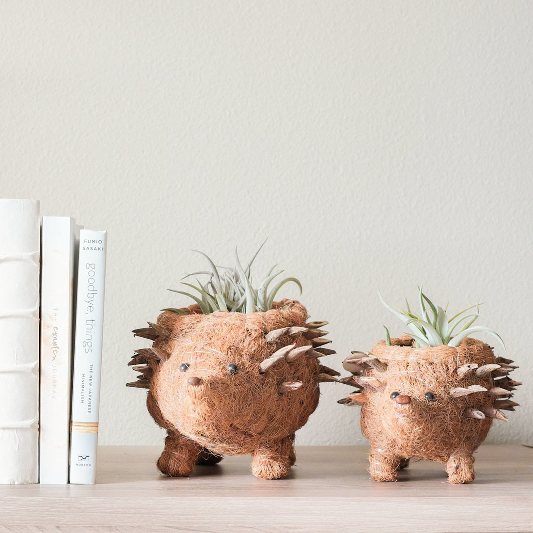 Planters - Baby Hedgehog Plant Pot - Handmade Planters | LIKHÂ - LIKHÂ