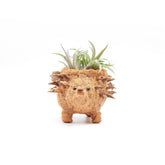 Planters - Baby Hedgehog Plant Pot - Handmade Planters | LIKHÂ - LIKHÂ