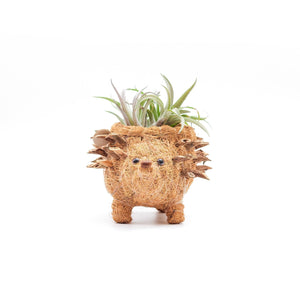 Planters - Baby Hedgehog Plant Pot - Handmade Planters | LIKHÂ - LIKHÂ