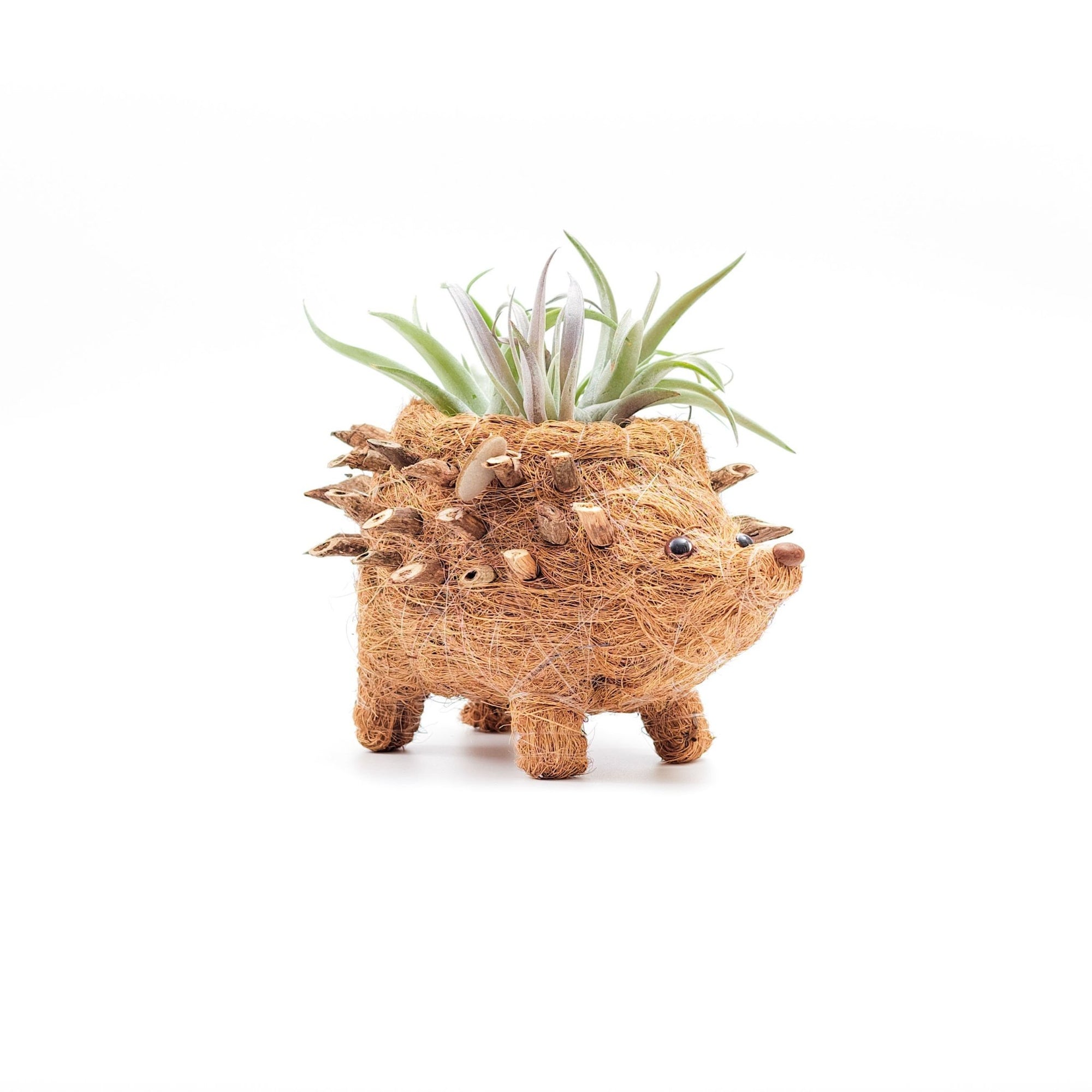 Planters - Baby Hedgehog Plant Pot - Handmade Planters | LIKHÂ - LIKHÂ