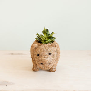 Planters - Baby Hippo Plant Pot - Handmade Pots | LIKHÂ - LIKHÂ