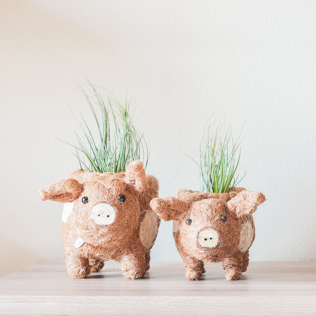 Planters - Baby Pig Succulent Pot - Handmade Planters | LIKHÂ - LIKHÂ