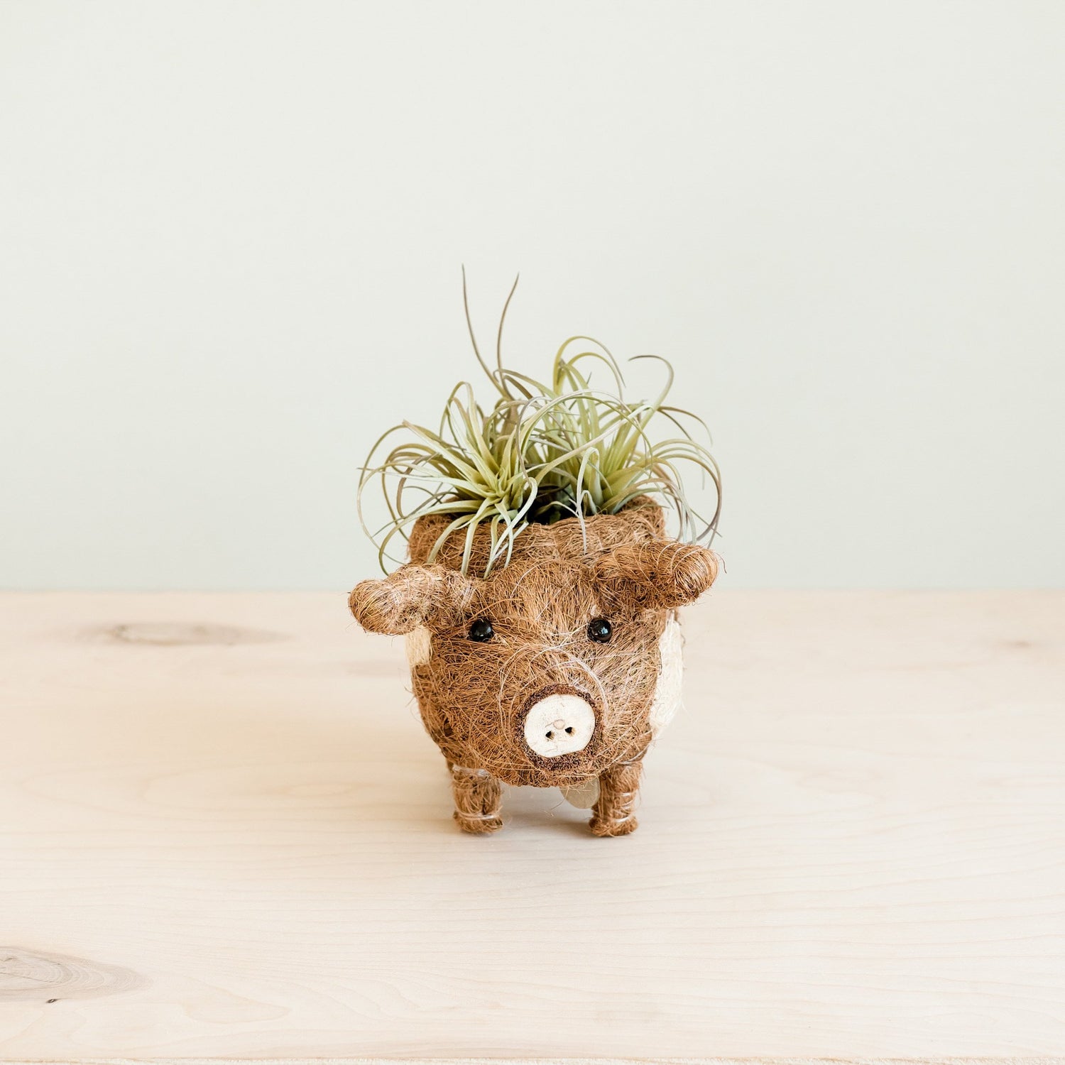 Planters - Baby Pig Succulent Pot - Handmade Planters | LIKHÂ - LIKHÂ