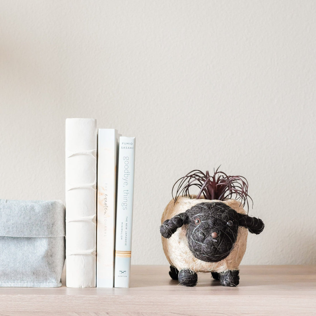 Planters - Baby Sheep Planter - Coco Coir Pots | LIKHÂ - LIKHÂ