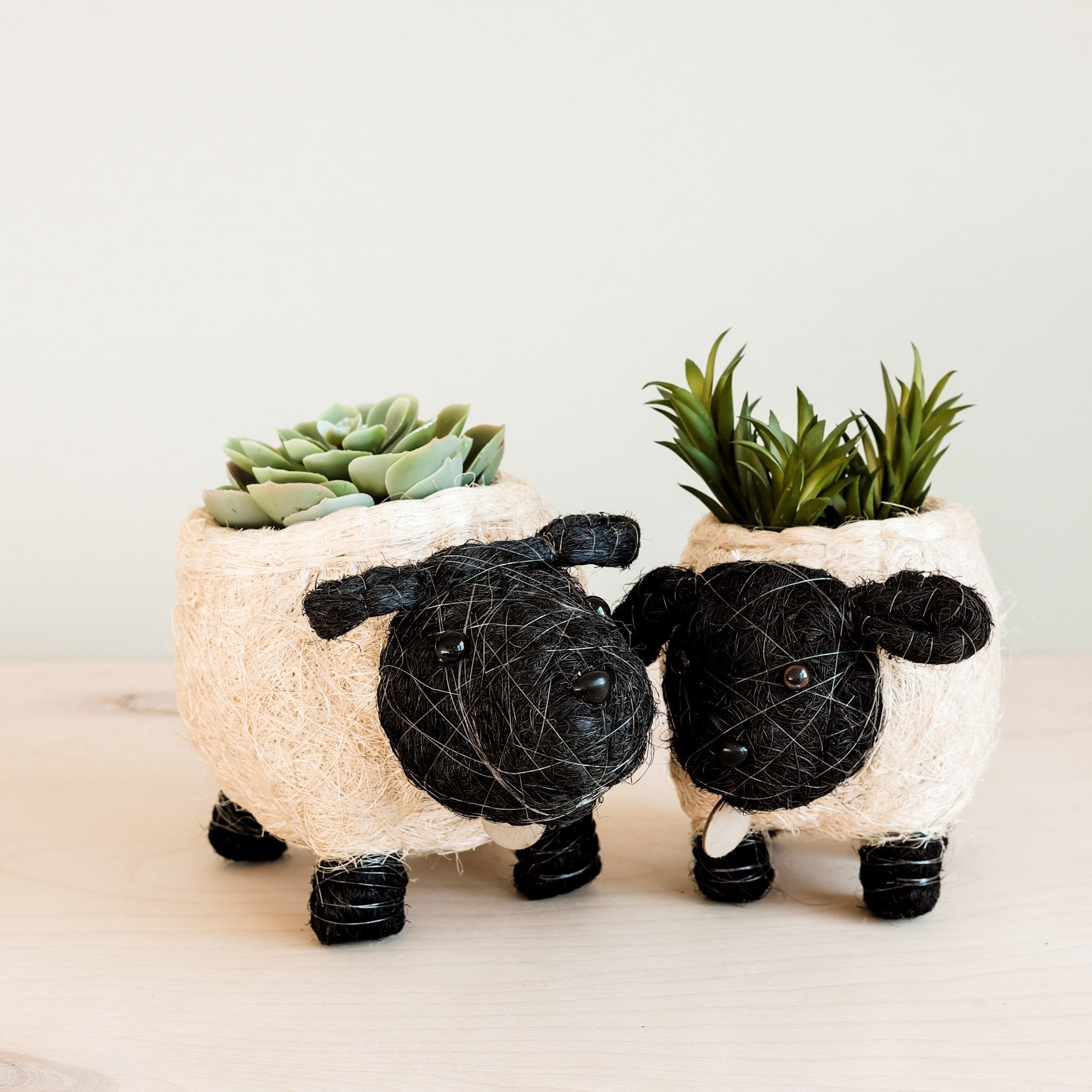 Planters - Baby Sheep Planter - Coco Coir Pots | LIKHÂ - LIKHÂ