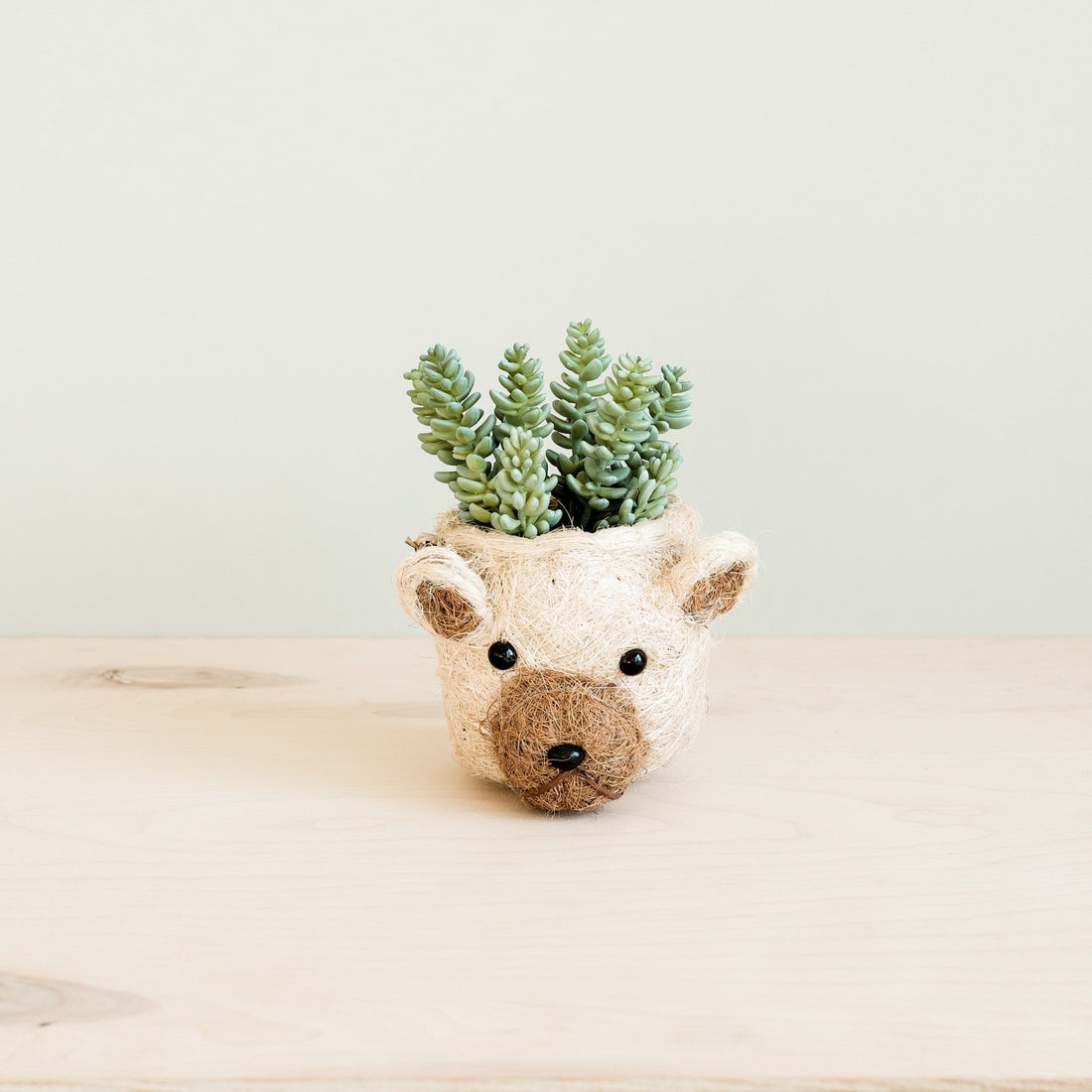 Planters - Bear Planter - Animal Head Planters | LIKHÂ - LIKHÂ