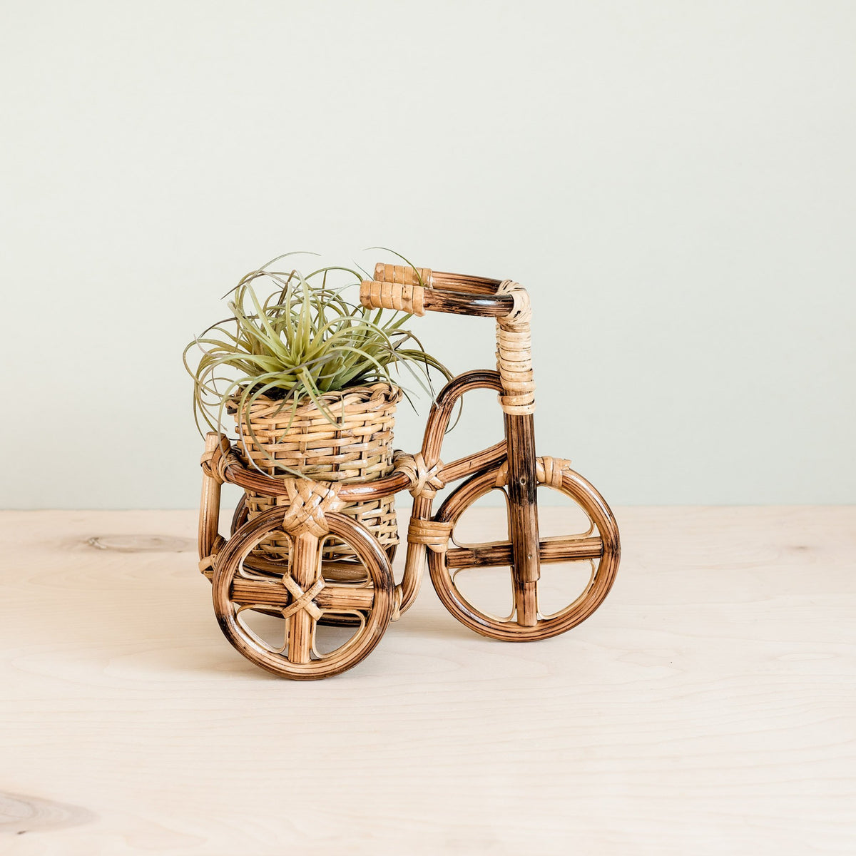 Planters - Bicycle Rattan Planter, medium - Handmade Planters | LIKHÂ - LIKHÂ