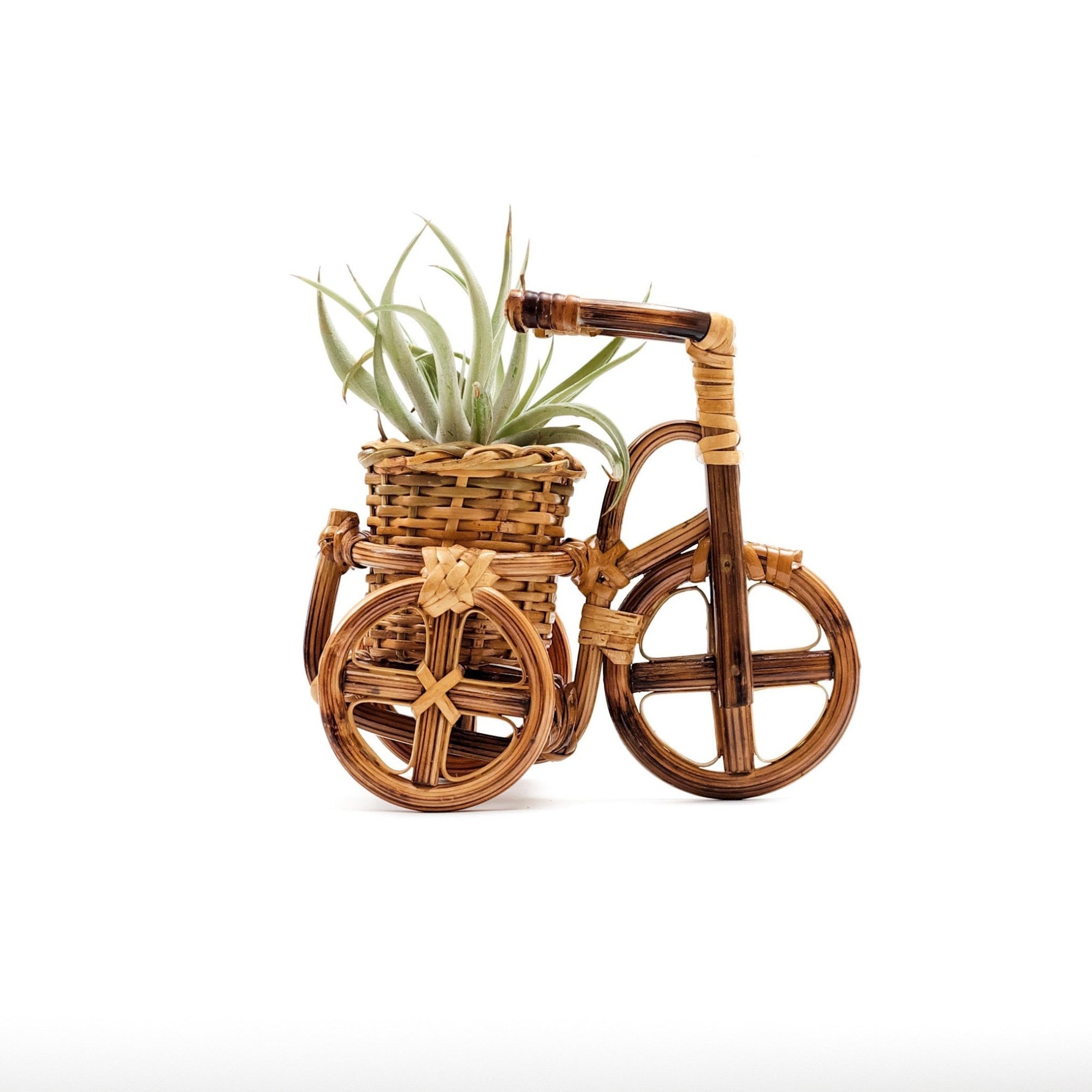 Planters - Bicycle Rattan Planter, small - Handmade Planters | LIKHÂ - LIKHÂ