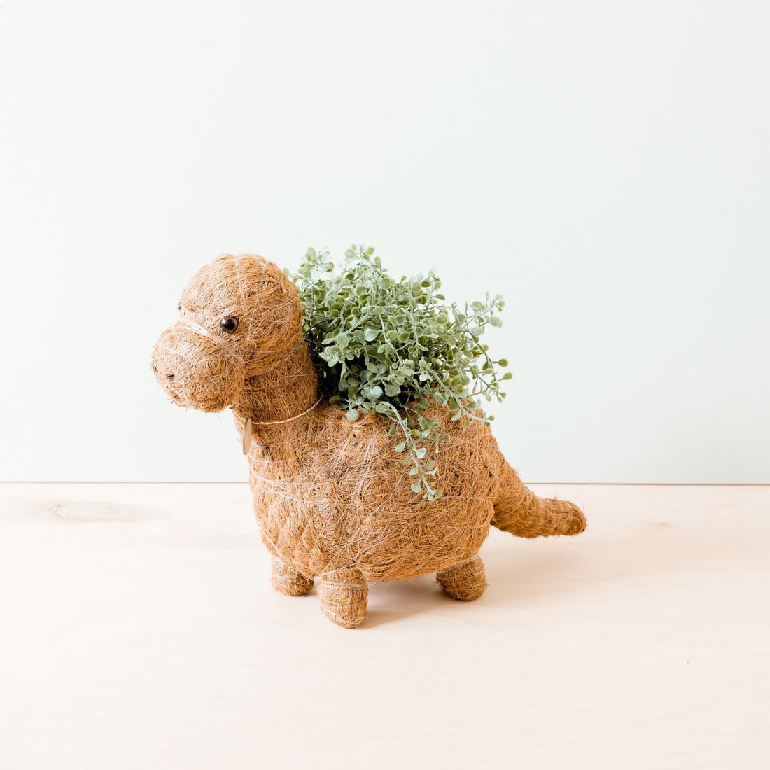 Planters - Brontosaurus Planter - Coco Coir Pots | LIKHÂ - LIKHÂ
