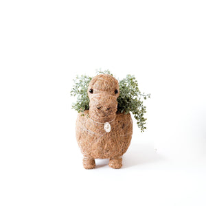 Planters - Brontosaurus Planter - Coco Coir Pots | LIKHÂ - LIKHÂ