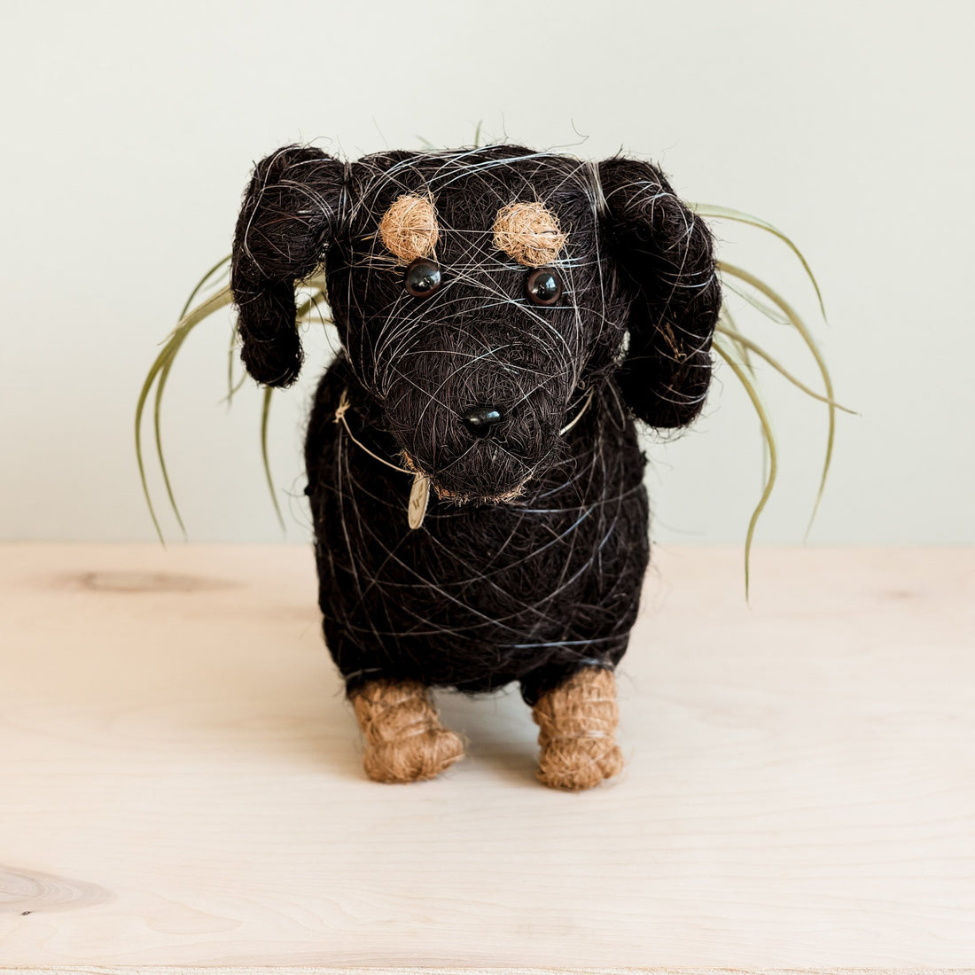 Planters - Dachshund Dog Planter - Coco Planter | LIKHÂ - LIKHÂ