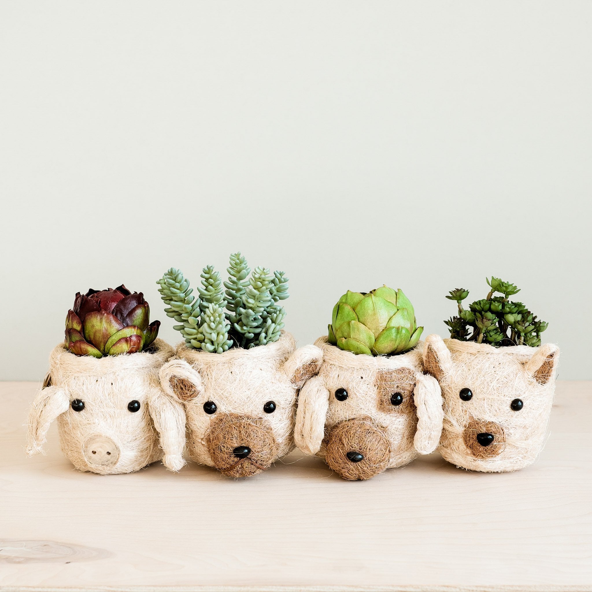 Planters - Dog Succulent Planter - Animal Head Plant Pot | LIKHÂ - LIKHÂ