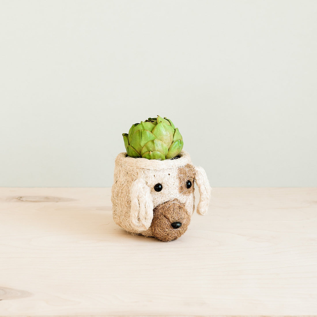 Planters - Dog Succulent Planter - Animal Head Plant Pot | LIKHÂ - LIKHÂ