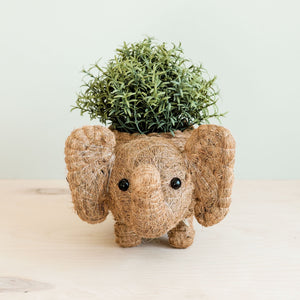 Planters - Elephant Plant Pot - Handmade Planter | LIKHÂ - LIKHÂ