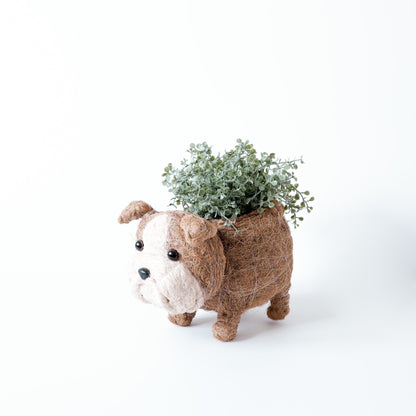 Planters - English Bulldog Planter - Coco Coir Pots | LIKHÂ - LIKHÂ
