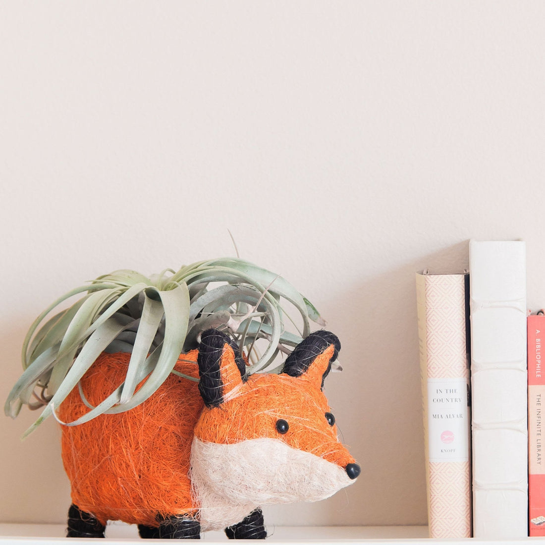 Planters - Fox Planter - Coir Planters | LIKHÂ - LIKHÂ