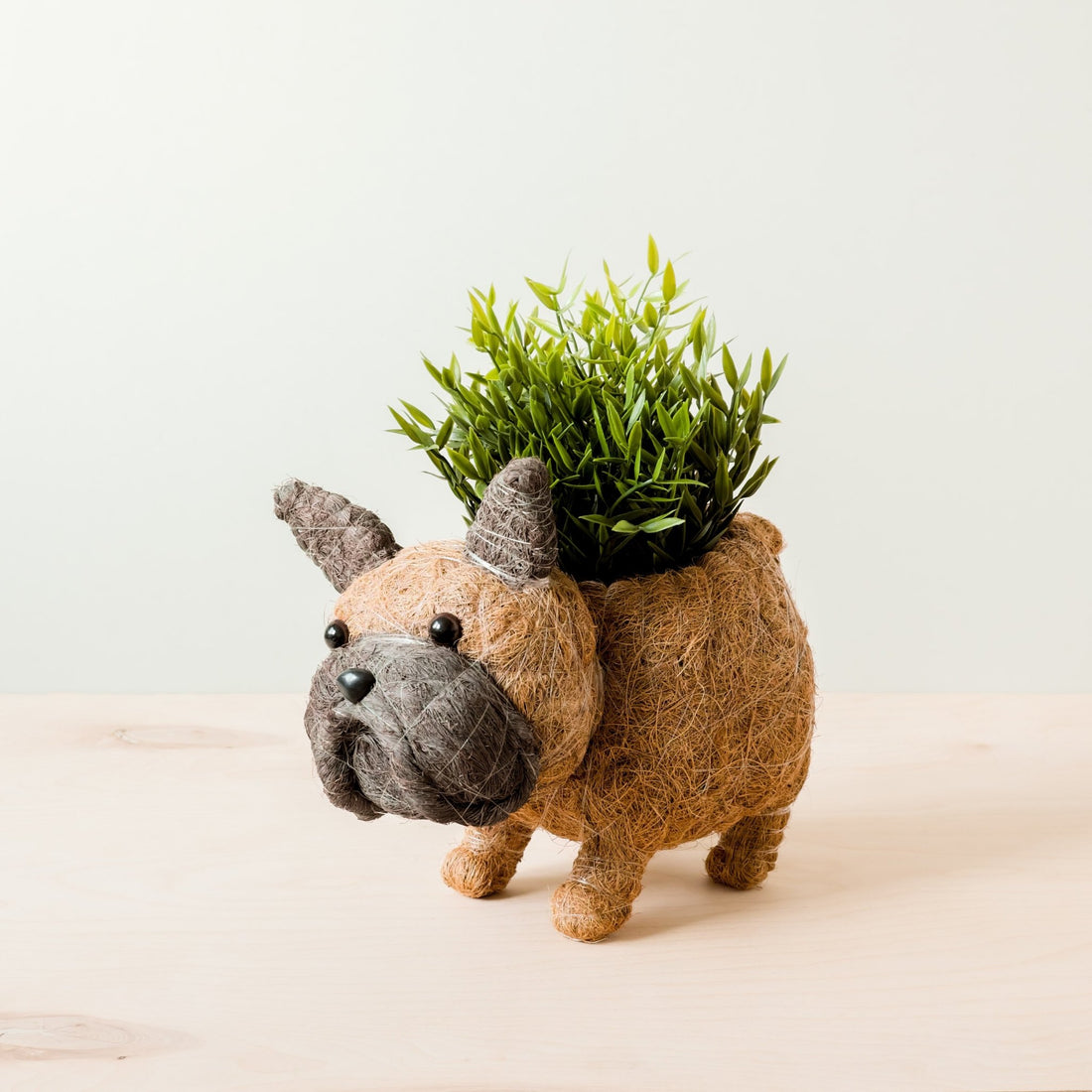 Planters - French Bulldog Planter - Coco Coir Pots | LIKHÂ - LIKHÂ