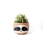 Planters - Large three-tone Sloth - Coco Coir Pots (6 inch) | LIKHÂ - LIKHÂ