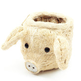 Planters - Pig Plant Pot - Animal Head Plant Pot | LIKHÂ - LIKHÂ