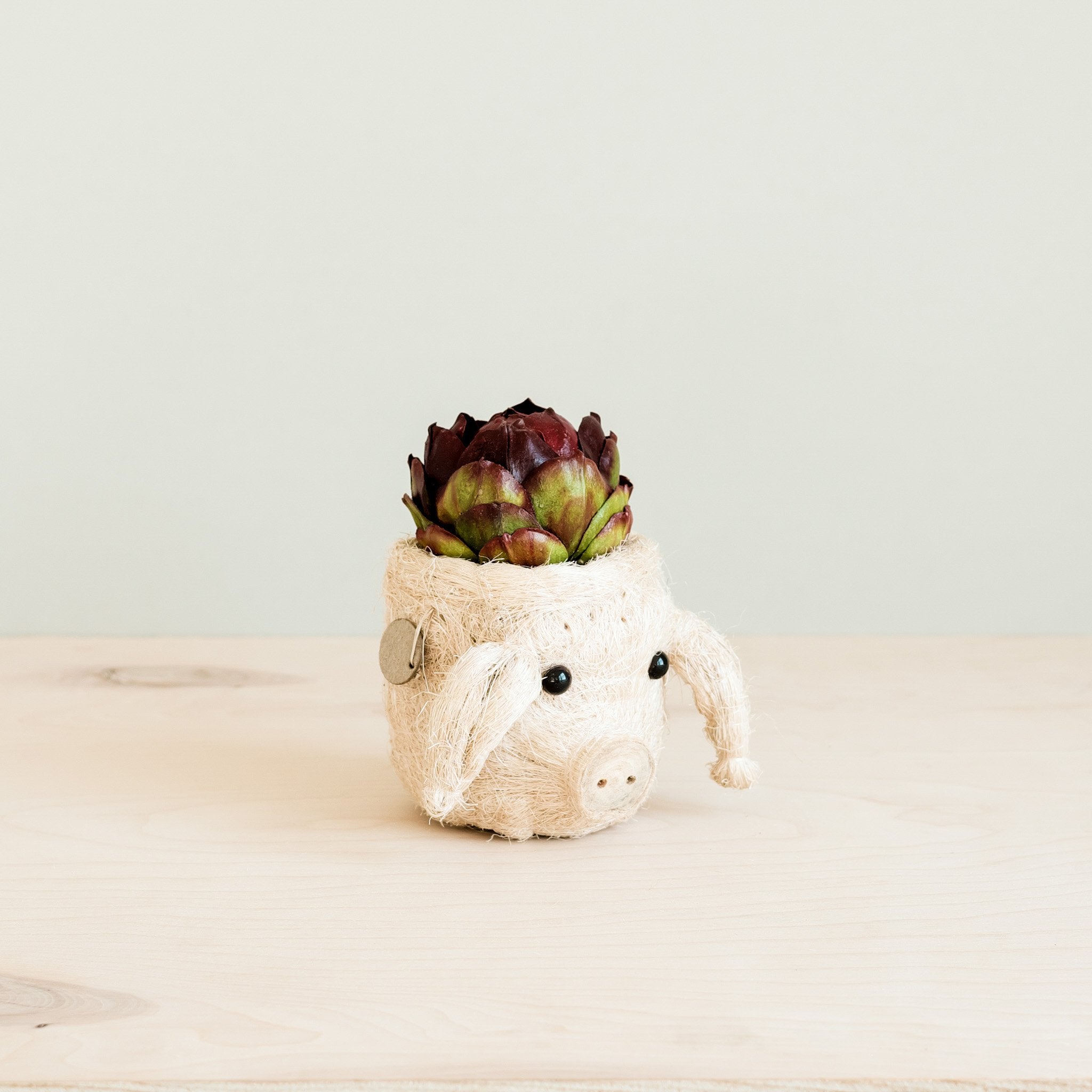 Planters - Pig Plant Pot - Animal Head Plant Pot | LIKHÂ - LIKHÂ