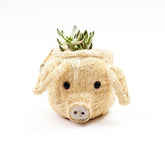 Planters - Pig Plant Pot - Animal Head Plant Pot | LIKHÂ - LIKHÂ