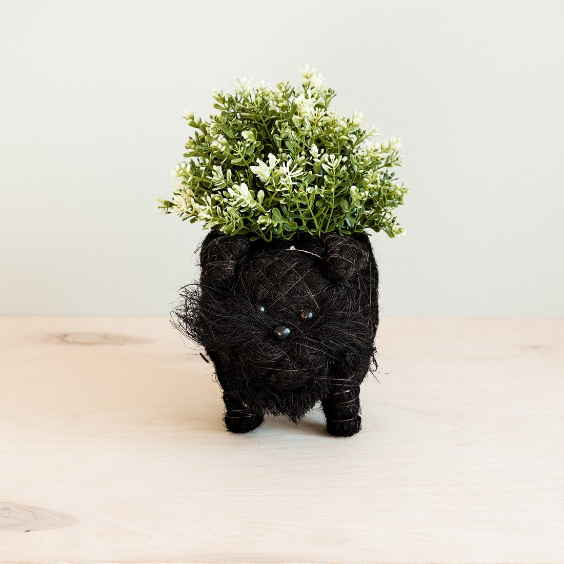 Planters - Schnauzer Planter - Coco Coir Pots | LIKHÂ - LIKHÂ