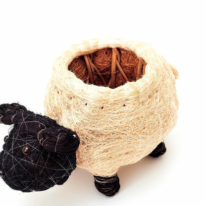 Planters - Sheep Planter - Coco Coir Pots | LIKHÂ - LIKHÂ