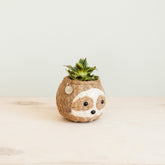 Planters - Two-tone Sloth Coco Coir Planter - Handmade Planters | LIKHÂ - LIKHÂ