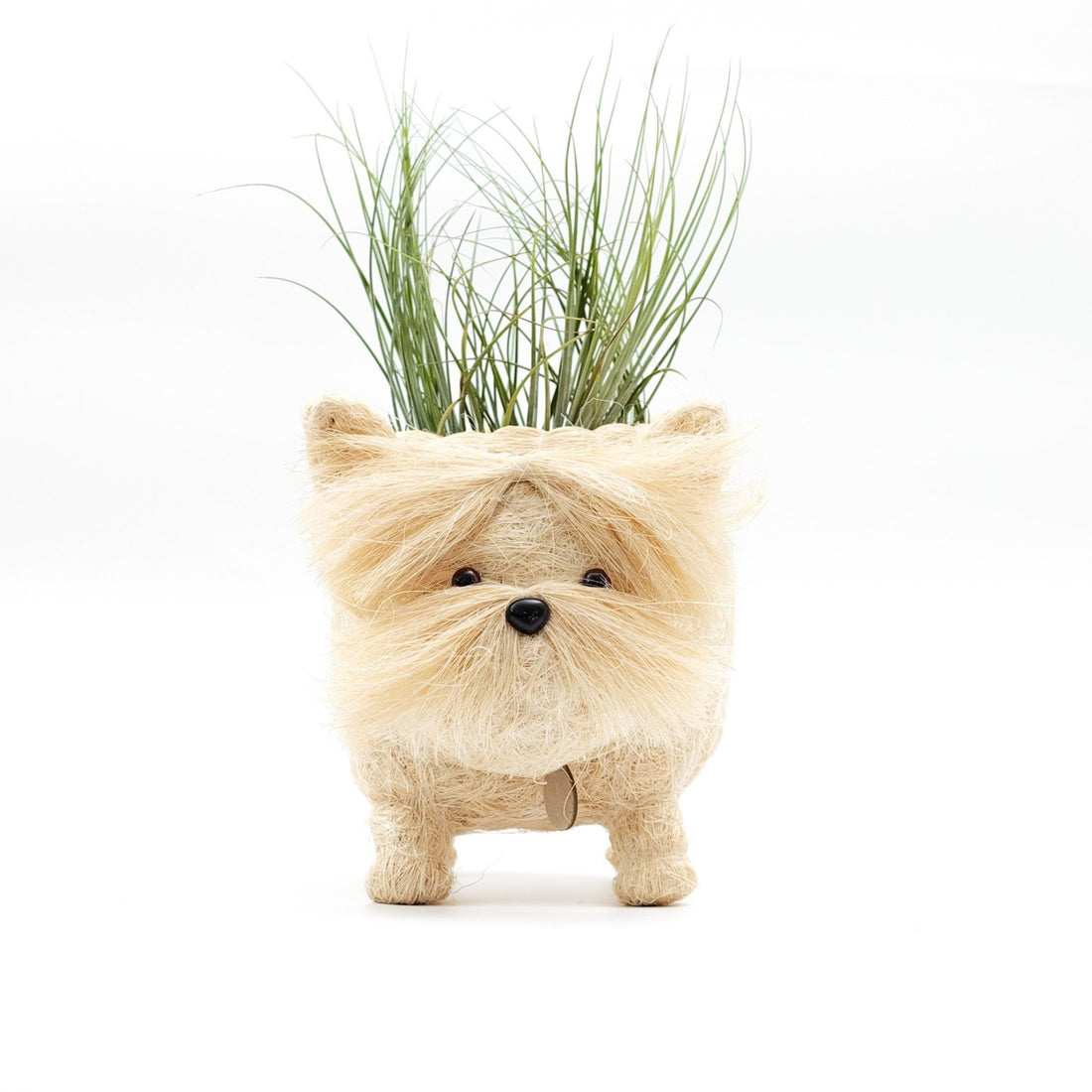 Planters - Westie Planter - Coco Coir Pots | LIKHÂ - LIKHÂ